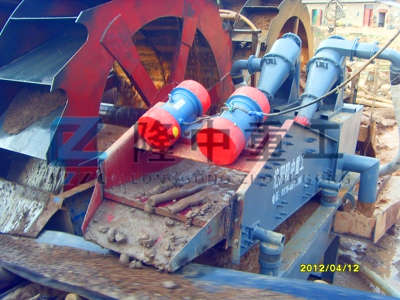 ����ɳ�ӵ�����